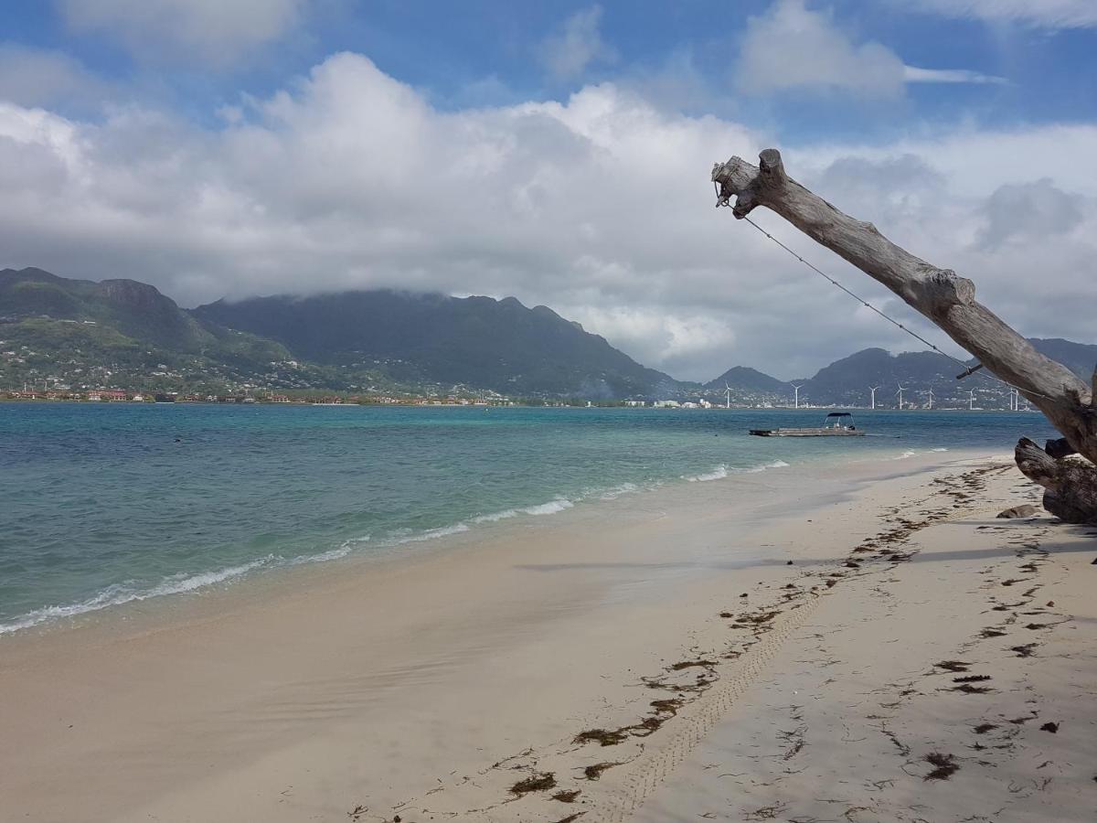 Fairy-Tern Chalets Cerf Island Luaran gambar